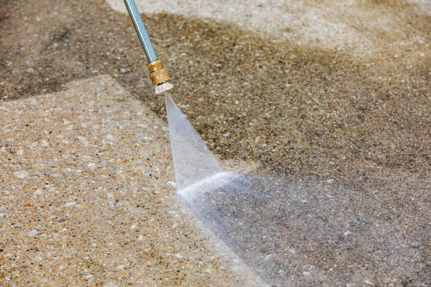 Best Roof Cleaning and Mildew Removal in Woxall, PA
